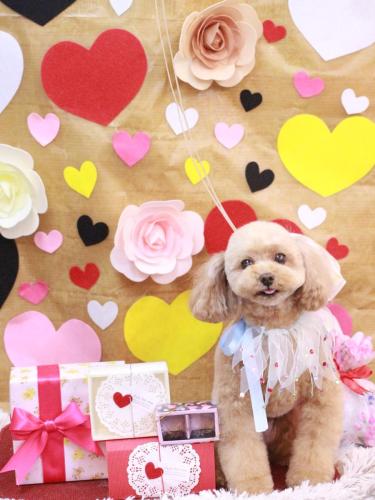 20230214バーディーくん